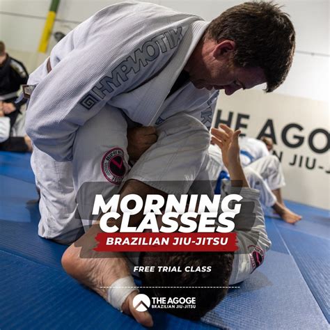 Adults Rules — The Agoge BJJ