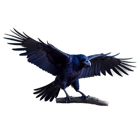 Raven Cosplay Flow 的图像结果