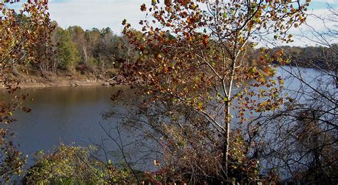 Gulf Coastal Plain 2,290 Atlantic Coastal Plain Stock Photos, High Res