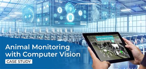 Animal Monitoring with Computer Vision – Case Study