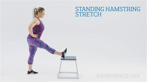 Hamstring Stretch Exercise 的图像结果