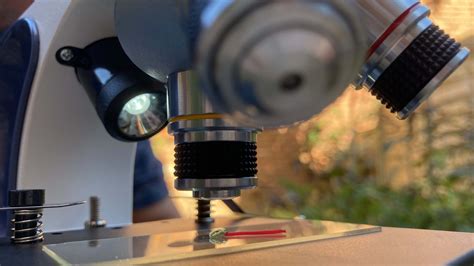 Image result for Monocular Compound Microscope