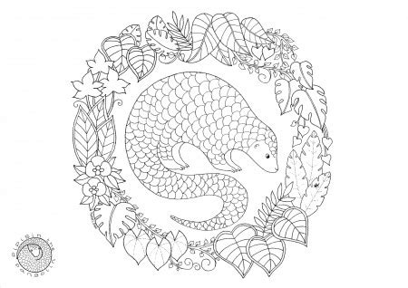 Image result for Pango Coloring Pages