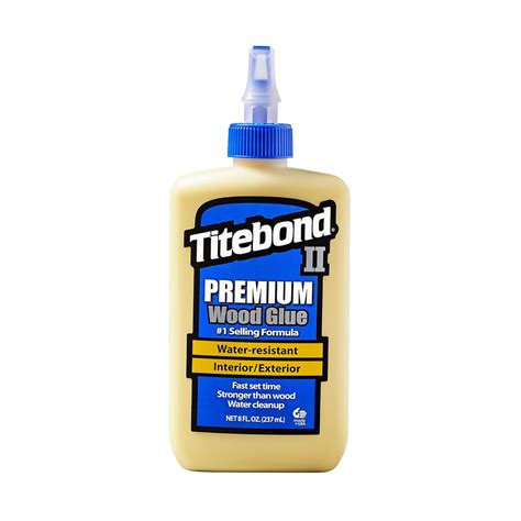 Titebond Franklin International 5003 -2 Premium Wood Glue, 8-Ounce ...