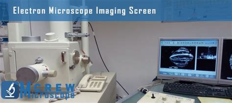 Image result for How Does a Scanning Electron Microscope Work Cochell