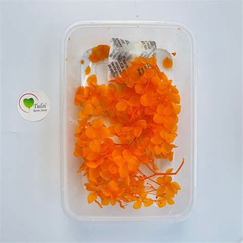 Hydrangea Dry Flower Box - (C) – Tulsi Resin Store