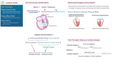 Physiology: Cardiac Work & The Fick Principle | ditki medical & biological sciences