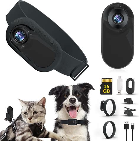 Amazon.com: GHWMYD Cat Camera Collar, HD 1080P Wireless Dog Collar ...