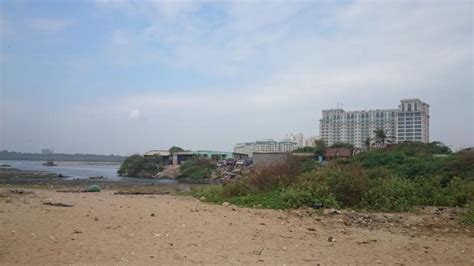Save the Adyar River but with the same rules for all | CAG