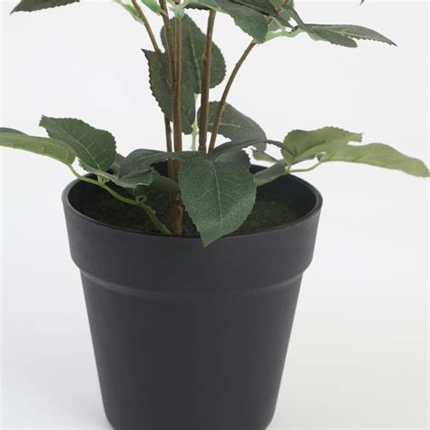Buy Gloria Artificial Rose Plant in Pot from Home Centre at just INR 999.0