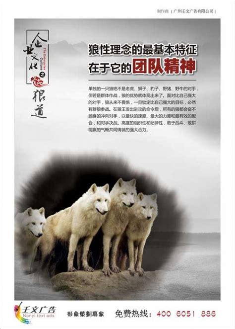 狼性团队励志文化墙图片_狼性团队励志文化墙设计素材_红动中国