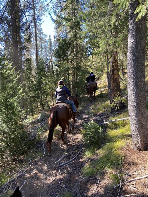 Idaho Wolf Hunting License at Jose Huggins blog