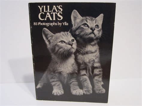 Buy Ylla's Cats Book Online at Low Prices in India | Ylla's Cats ...