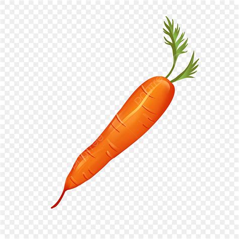 Orange Carrot Clip Art, Hand Drawn Carrot, Vegetables, Carrot Clip Art ...