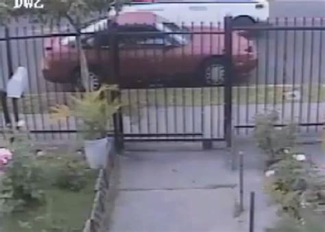 Image result for USPS Mail Fail