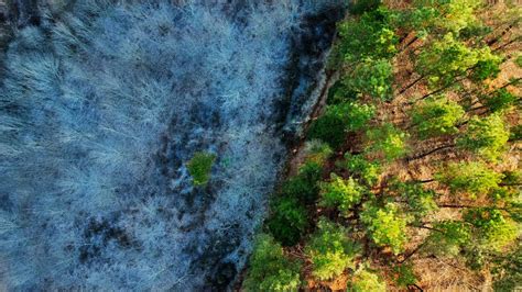 Image result for Image Processing Using Python