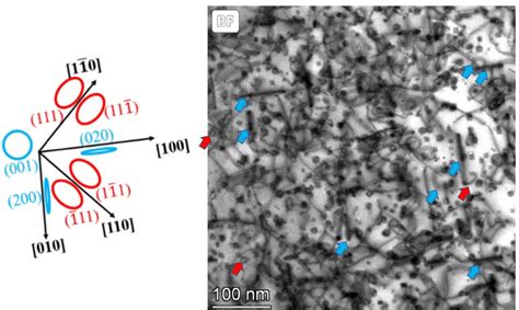 Image result for Dislocation Loop