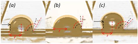 Graphene-Coated PVDF Membranes: Effects of Multi-Scale Rough Structure ...