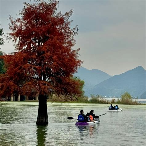 QINGSHAN LAKE (2026) All You Need to Know BEFORE You Go (with Photos ...