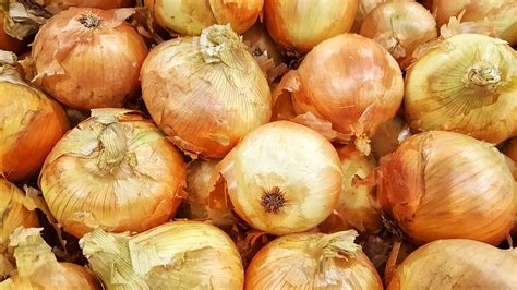 Walla Walla Onion Seeds - Heirloom – Hometown Seeds