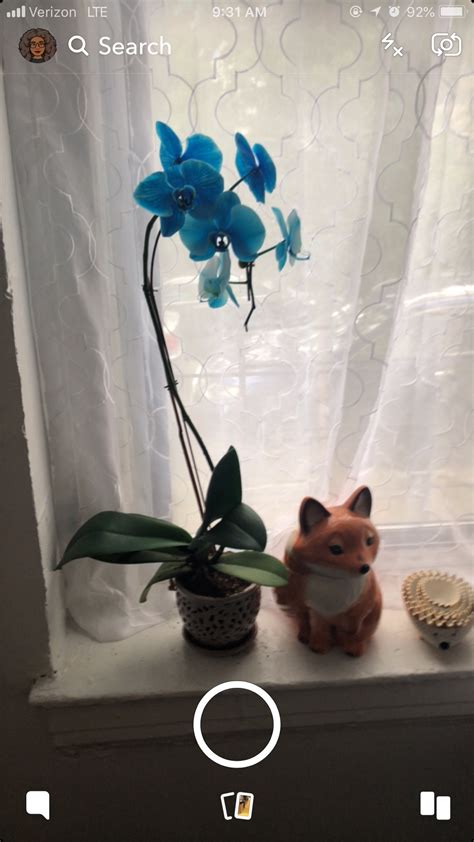 Image result for Snapchat iOS