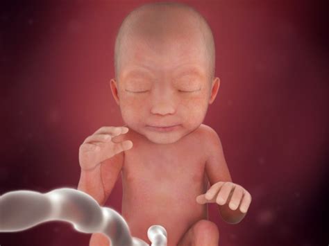Diástase abdominal: o que é, sintomas e tratamento | BabyCenter