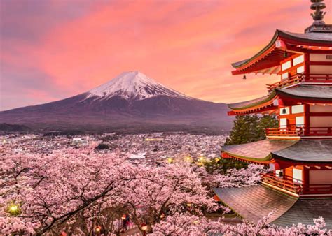 How To Best Enjoy The Japanese Nightlife | Japan Wonder Travel Blog