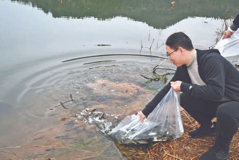 鱼塘养鱼第150天，天气转冷草鱼食量减少，草料还是不能断_哔哩哔哩_bilibili