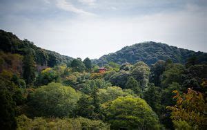 Wallpaper pagoda, building, trees hd, picture, image