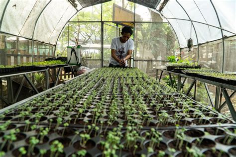 Image result for Food Security Program