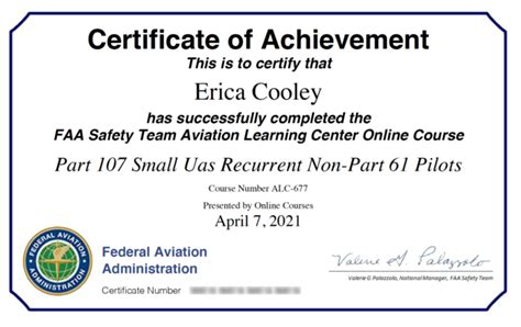 Faaa 107 Tutorial 的图像结果