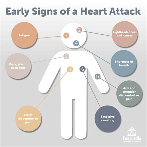 5 Silent Signs You’re Having a Heart Attack! – CURIOUS JOURNEY