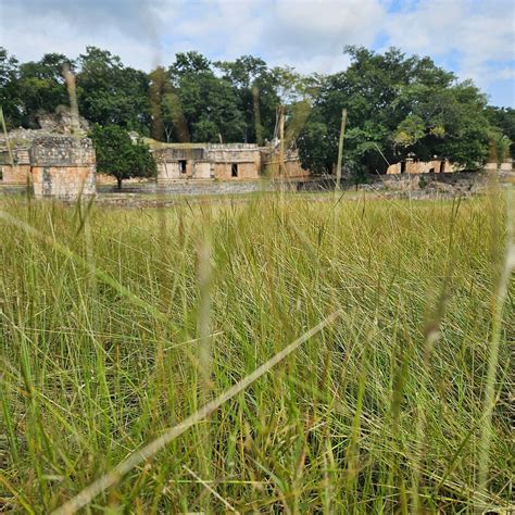 Labna, Yucatan Peninsula - Tripadvisor