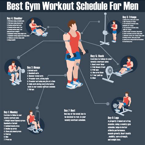 Image result for Good Beginner Workout Routine