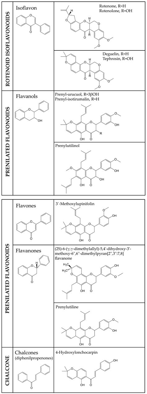 Promising Potential of Lonchocarpus utilis against South American Myasis