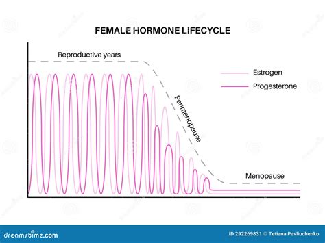 Pregnancy Hormone Graph