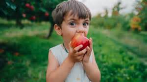 Best foods to boost your child’s brain development