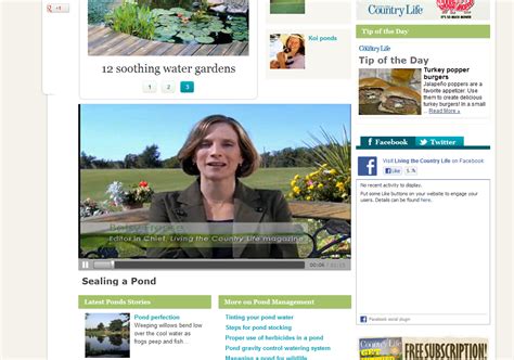 Drupal Video Module 的图像结果