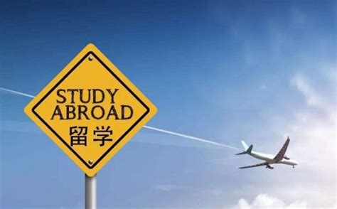 《2022中国留学生白皮书》出炉，中产阶级家庭成为留学主力！ - 知乎