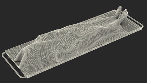 Male Dead Body Covered with Cloth 3D Model $79 - .3ds .blend .c4d .fbx ...