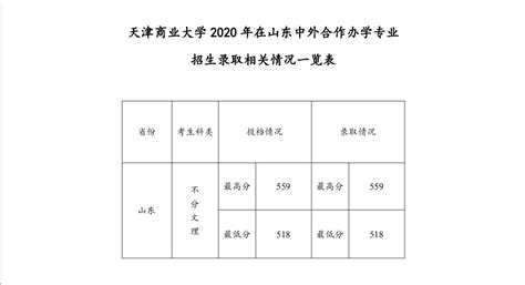 天津商业大学2020年在山东中外合作办学专业招生录取相关情况一览表-天津商业大学招生网 | TJCU Admissions Office