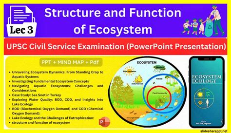 Image result for Ecosystem Structure and Function
