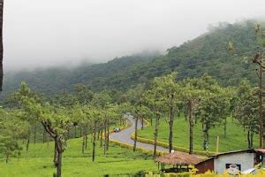 Top 20 things to do in Pollachi (Updated Dec 2024)