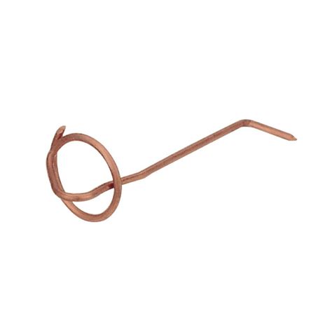 Image result for Snow Loop