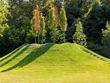 Garden Ideas: Use a Mound Garden to Showcase Your Plants or Flowers