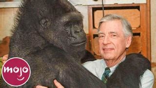 Image result for Watchmojo.com Top 10 Animals