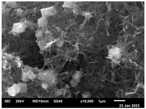Obtaining Boron Carbide and Nitride Matrix Nanocomposites for Neutron ...