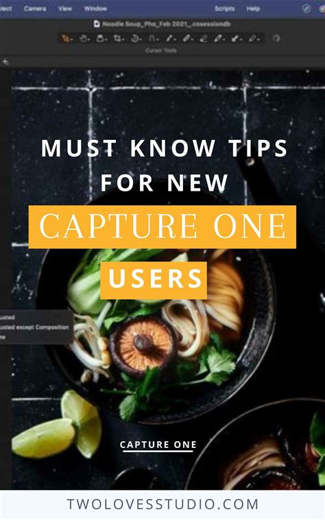 Image result for Capture One Pro 21 Tutorials