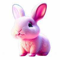 Image result for Indigo White Cute Bunny