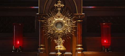 PEC Adoration 的图像结果